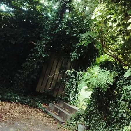 Greenbrook Blue Homestay szállás Aalbor